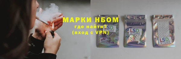 mdpv Краснослободск