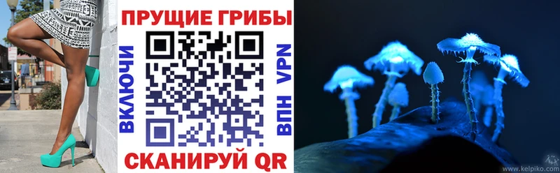 Псилоцибиновые грибы MAGIC MUSHROOMS  Купить  Иркутск 